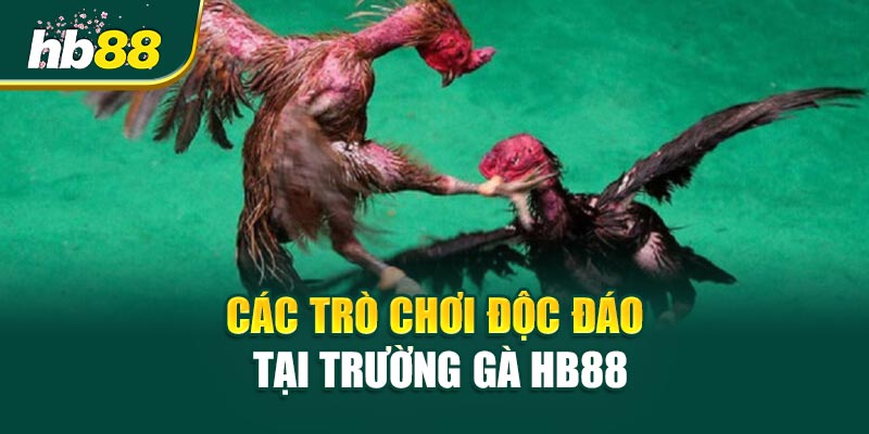 Các Trò Chơi Độc Đáo Tại Trường Gà HB88