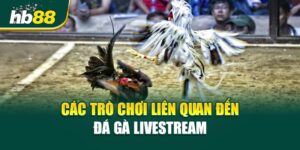 Các Trò Chơi Liên Quan Đến Đá Gà Livestream