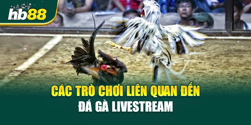 Các Trò Chơi Liên Quan Đến Đá Gà Livestream