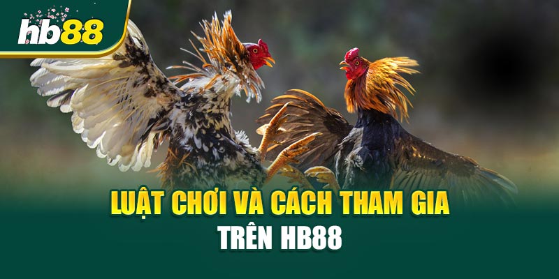 Luật chơi và cách tham gia trên HB88