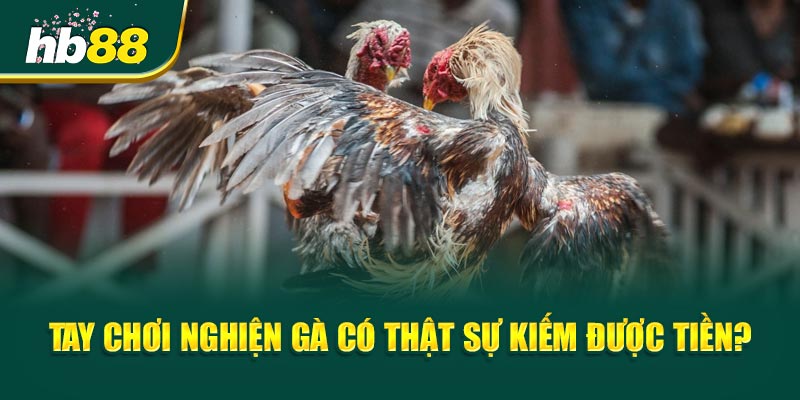 Tay Chơi Nghiện Gà có thật sự kiếm được tiền?