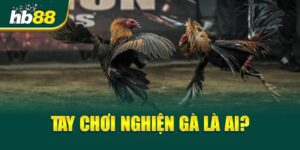 Tay Chơi Nghiện Gà là ai?