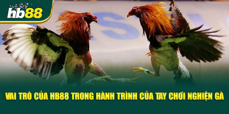 Vai trò của HB88 trong hành trình của Tay Chơi Nghiện Gà